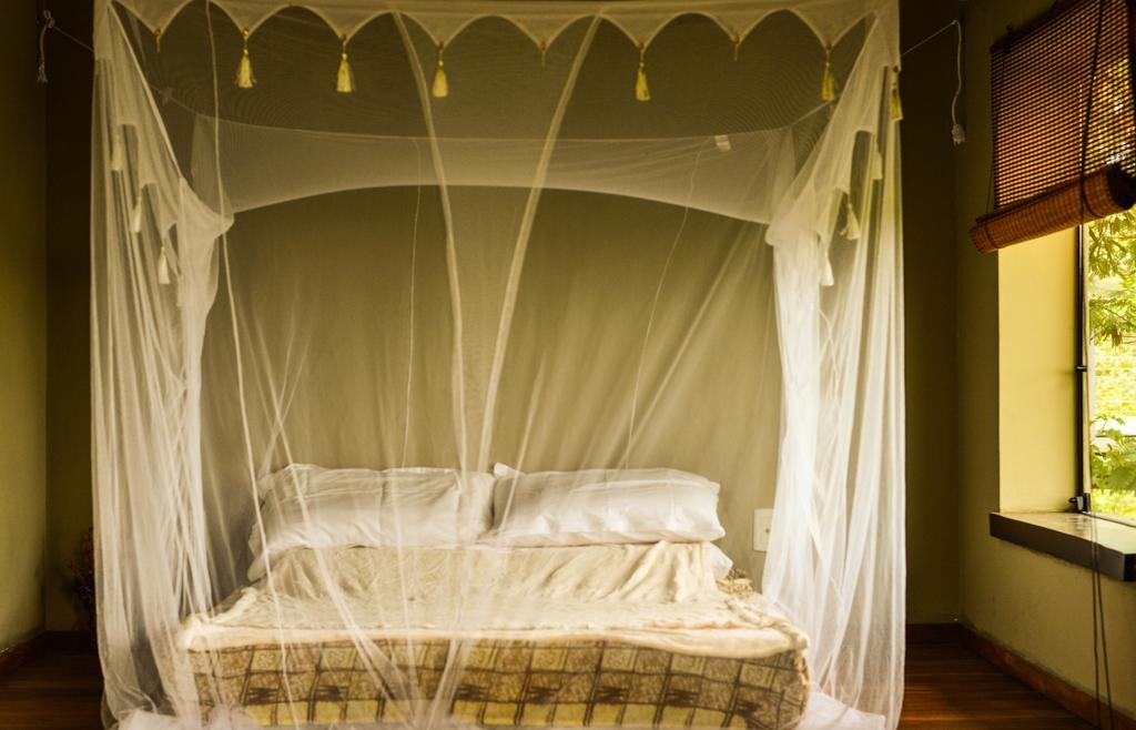 Paraiso Guest house